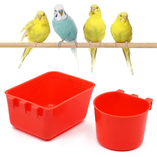 Bird Feeder Water Bird Cage Parrot Plastic Dringking Bowls Water Drinker for Pigeon Quail Chicken Duck bowls And Drinker