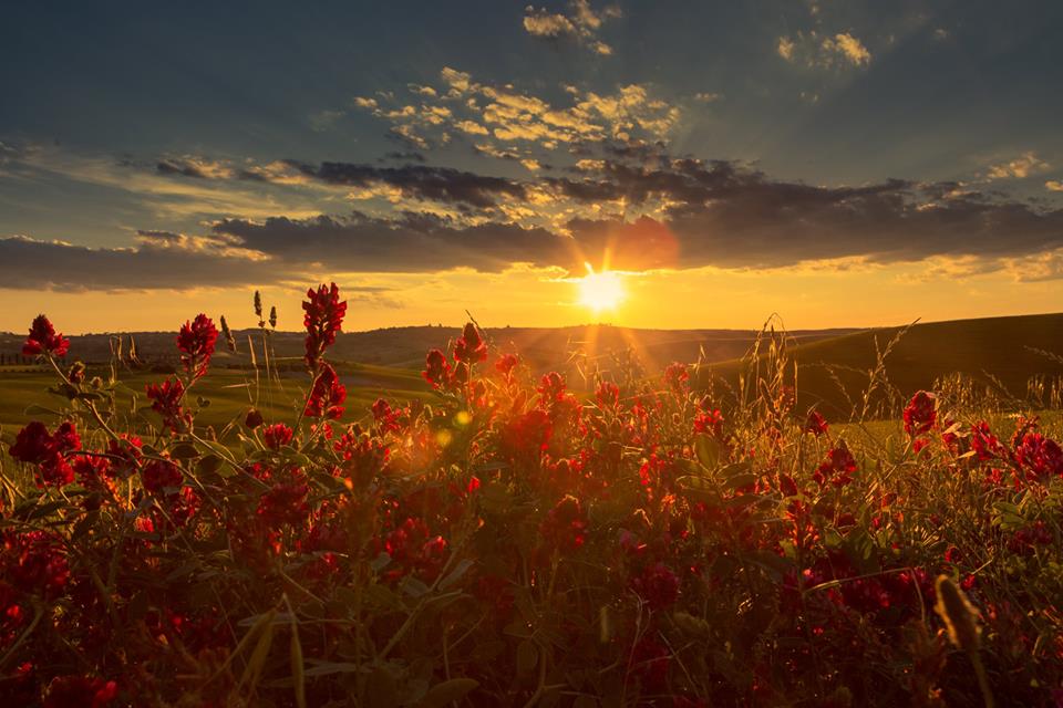 Sunset in tuscany di fedevphoto