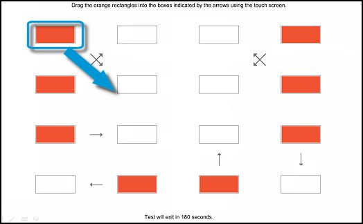 Drag the blocks to the correct empty box