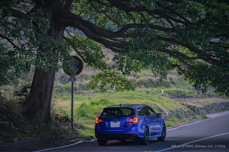 レヴォーグのSUBARU・バックショット・車好きな人と繋がりたい・カメラ好きと繋がりたい・レヴォーグSTIに関するカスタム事例の投稿画像1枚目