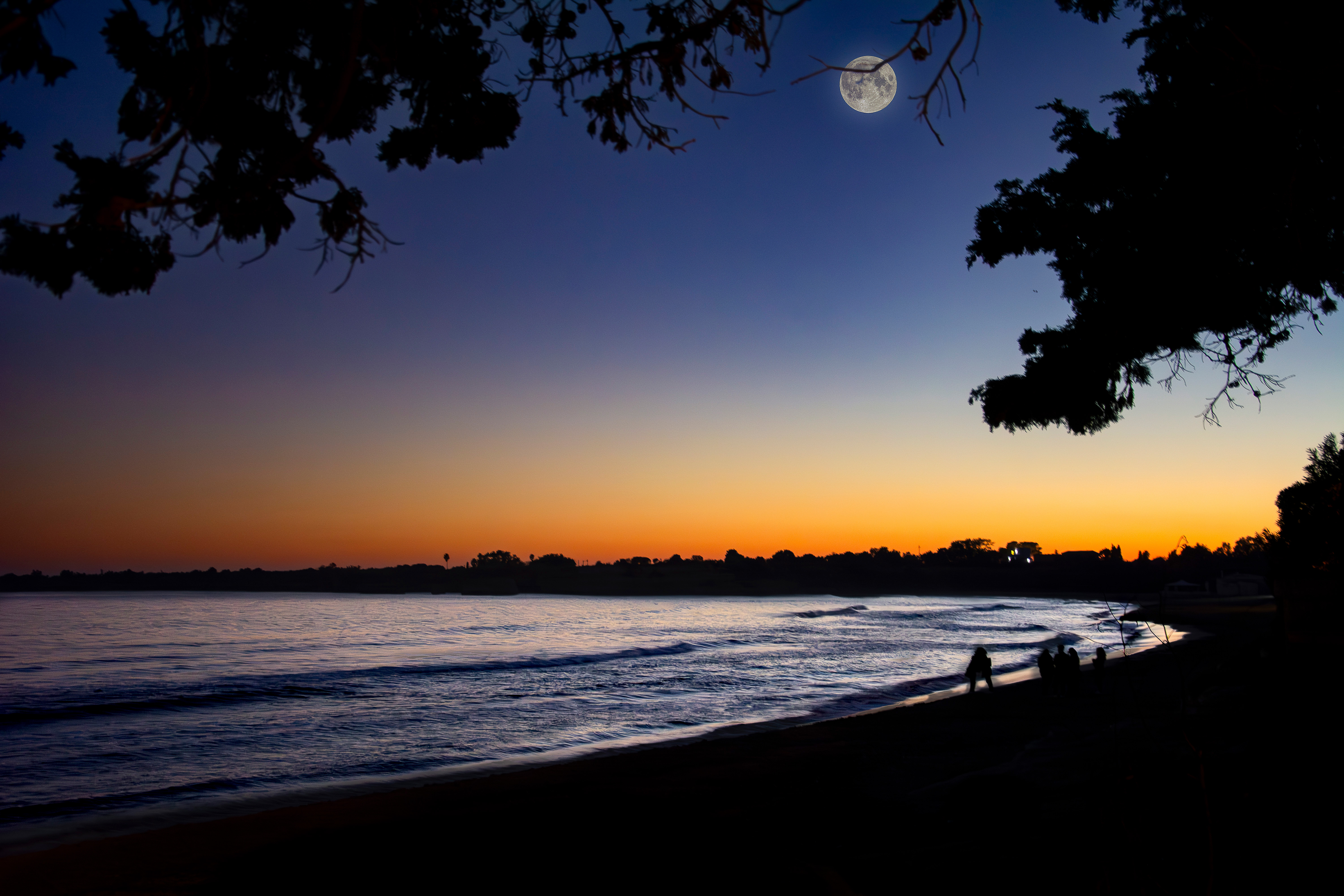 Moon on the beach di Andrea-Zuccaro