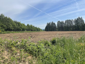 terrain à Royères (87)