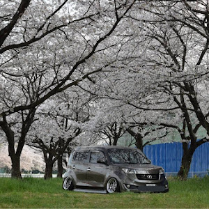 bB QNC20