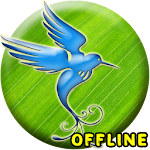 Cover Image of Download Suara Terapi Burung MP3 1.0.2 APK