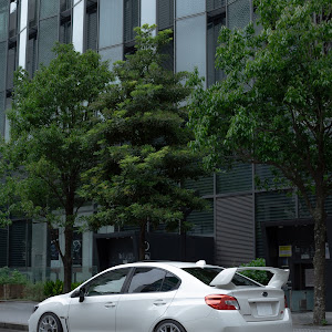 WRX STI VAB
