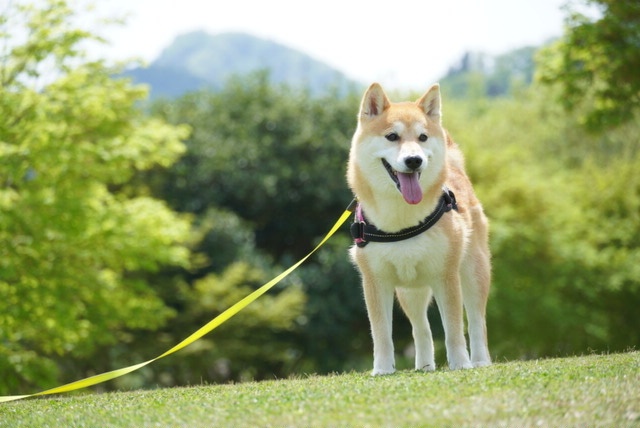 の投稿画像5枚目