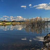 Silenziosità naturale di 