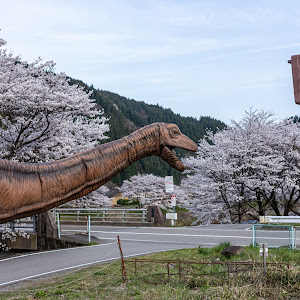 ロードスター