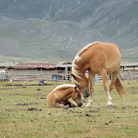 con mamma di 