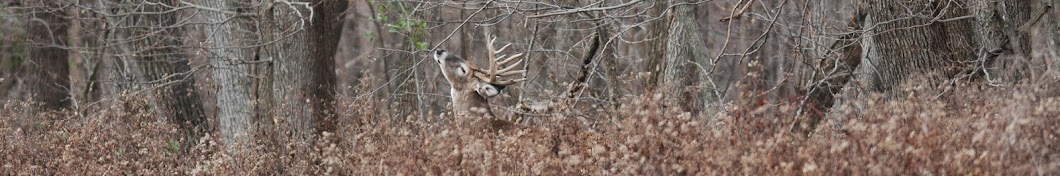 Midwest Whitetail Banner
