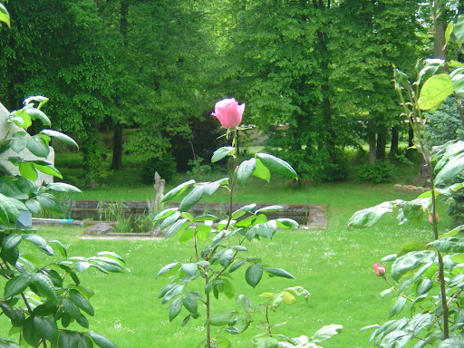 Maison avec jardin 3