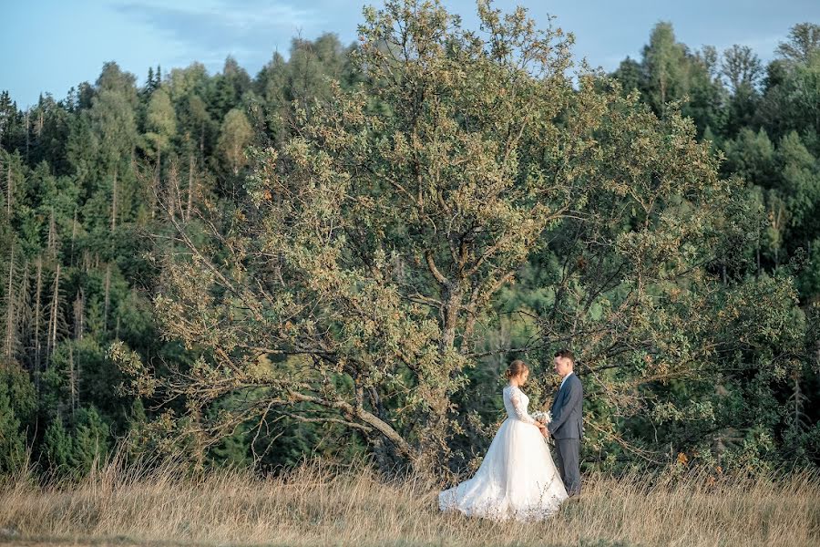 Svadobný fotograf Anastasiya Smurova (smurova). Fotografia publikovaná 7. februára 2019