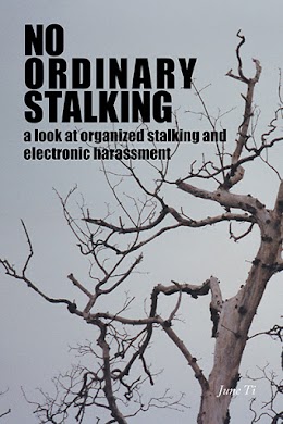 No Ordinary Stalking  cover