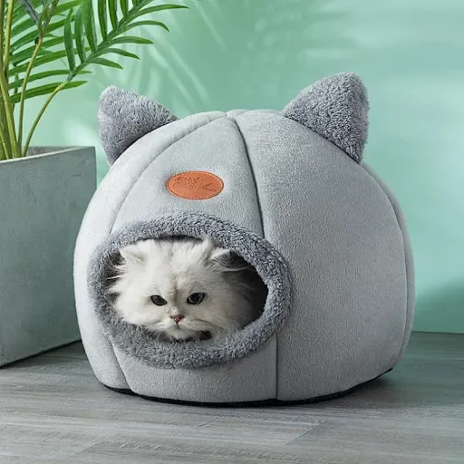 images slider number - 5