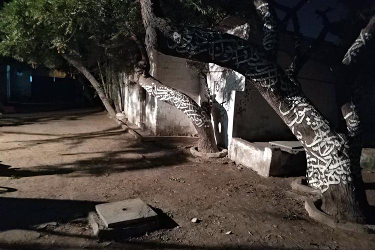 Karachi Biennale 2017 Zahid Mayo Calligraphy on trees