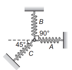 Spring-mass system