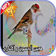 Download صوت مايسترو الحسون بدون انترنت For PC Windows and Mac 4.2