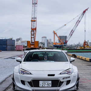 86 ZN6