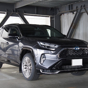 RAV4 AXAP54