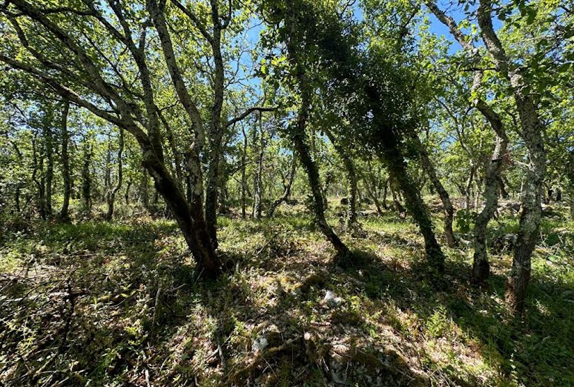  Vente Terrain à bâtir - à Ruoms (07120) 