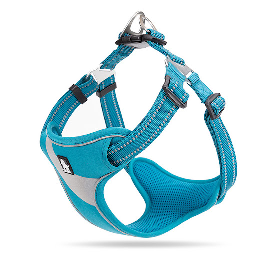 Title 2, Corgi Dog Vest with Rope Leash for Small Breeds...