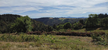 terrain à Les Villettes (43)