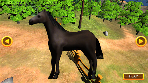 Wild Horse Sim