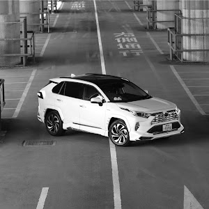 RAV4 AXAH54