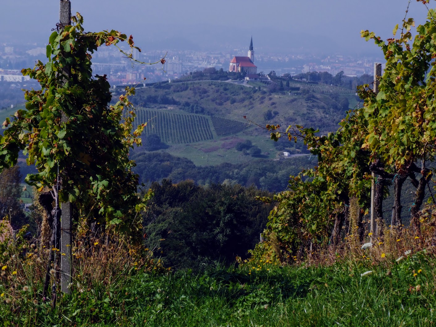 Maribor, Malečnik - Cerkev sv. Marije na Gorci (Szűz Mária templom a Gorca-dombon, 349 m)