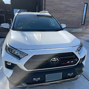 RAV4 MXAA54