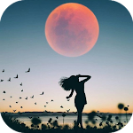 Cover Image of ดาวน์โหลด Story Maker 1.1 APK