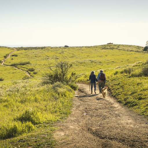 Mastering Work-Life Balance and Navigating the Holiday Season