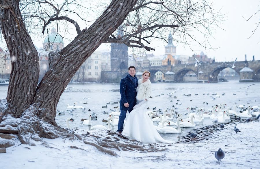 Fotógrafo de casamento Elena Vazhenina (weddingprague). Foto de 23 de janeiro 2019