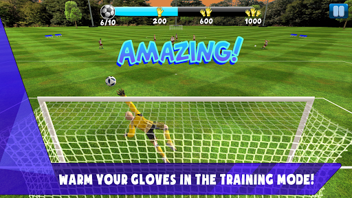 Screenshot Soccer Goalkeeper 2024