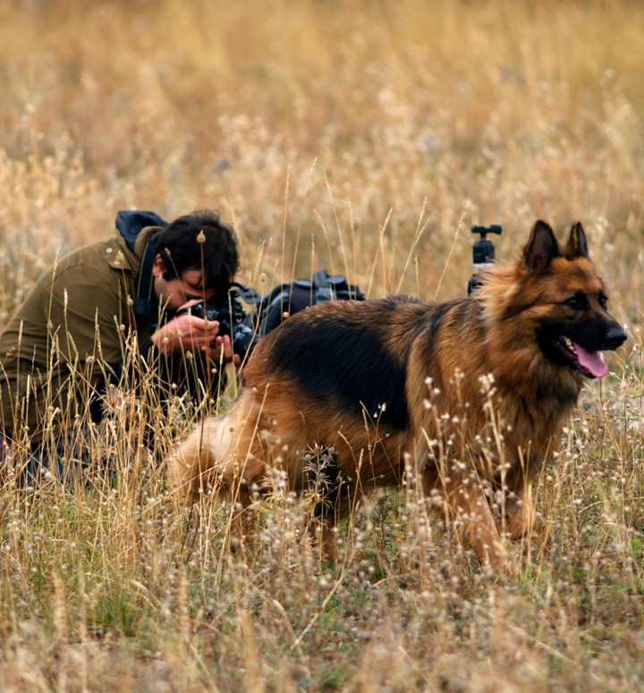 Scatto da... cani!!! di Francesca Malavasi