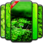 Cover Image of ダウンロード Green Wallpaper 1.0 APK