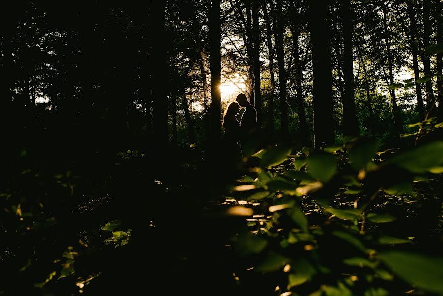 Hochzeitsfotograf Vitaliy Vitleo (vitleo). Foto vom 8. Juli 2015