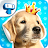 My Dog Album - Cute Puppy Stic icon