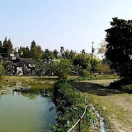 菁芳園 Tenway Garden／花園餐廳／落羽松