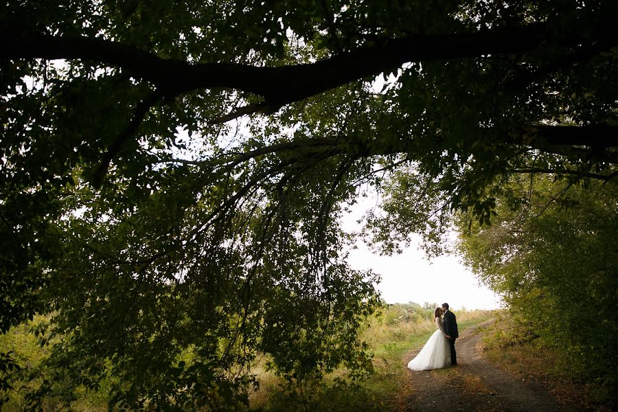 Fotógrafo de bodas Kseniya Maksimova (ksmaximova). Foto del 16 de octubre 2018