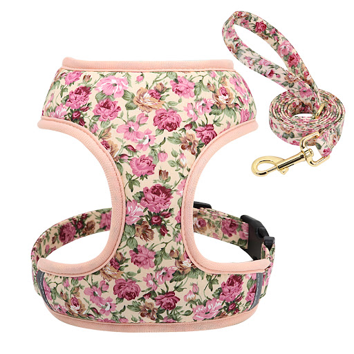 Title 2, Dog Leash Puppy Rope Shiba Inu Pomeranian Breas...