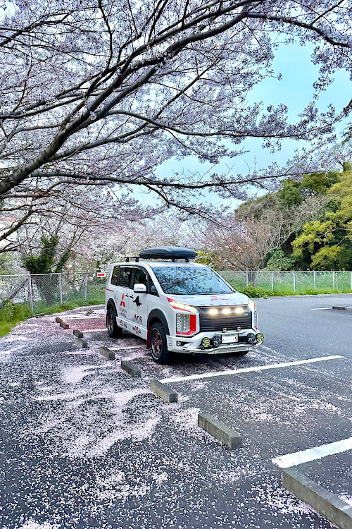 デリカD:5のサクラと愛車に関するカスタム事例の投稿画像1枚目