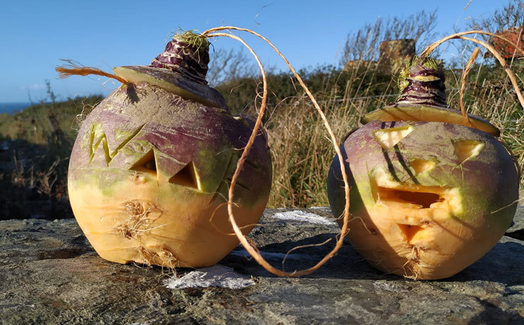 halloween turnips 