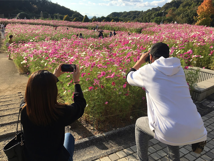 の投稿画像15枚目