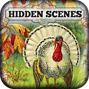 Hidden Scenes - Thanksgiving  Icon