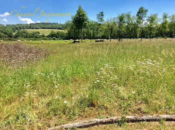 terrain à Saint-Jean-de-Côle (24)