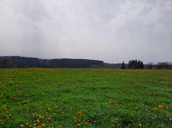 terrain à Arpajon-sur-Cère (15)