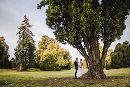 Photographe de mariage Alena Gurenchuk (alenagurenchuk). Photo du 27 mai 2016