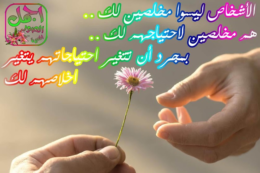 خواطر عامة Screen 1