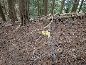 ここで巡視路と合流（No.17鉄塔へ）